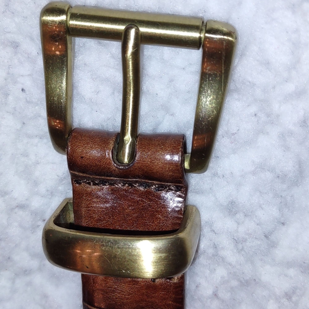 Fossil belt (#891)